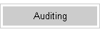 Auditing