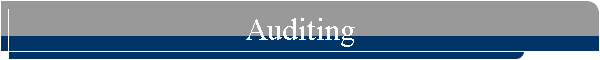 Auditing